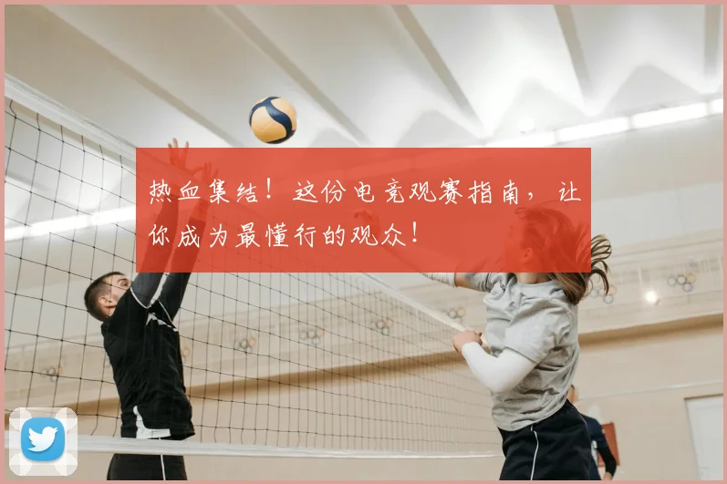 热血集结！这份电竞观赛指南，让你成为最懂行的观众！