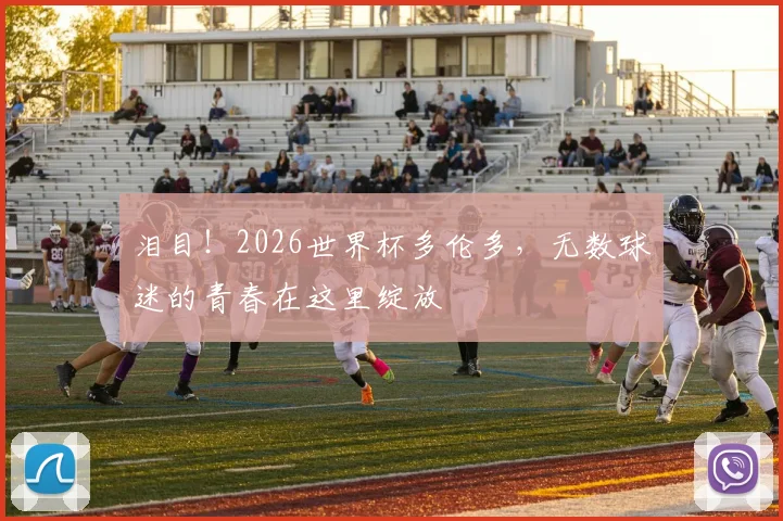 泪目！2026世界杯多伦多，无数球迷的青春在这里绽放
