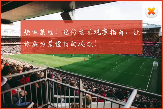 热血集结！这份电竞观赛指南，让你成为最懂行的观众！